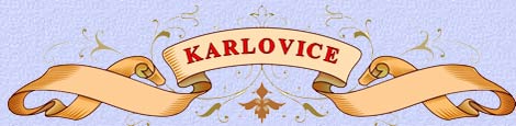 Obec Karlovice
